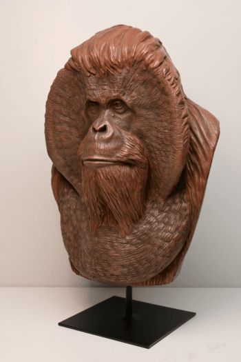 Orang Outan sage par Valerian Sioridzé