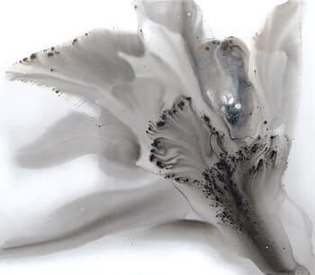 Nature 512 von Muriel Napoli