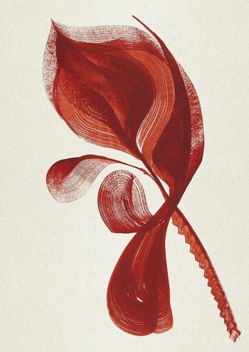 Flamingo Flower par The Frym