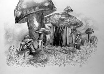 MATIERES VENENEUSES von Thibault Lepeudry