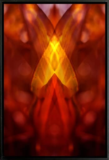 Réalité(s) 1 by Thomas Gigot