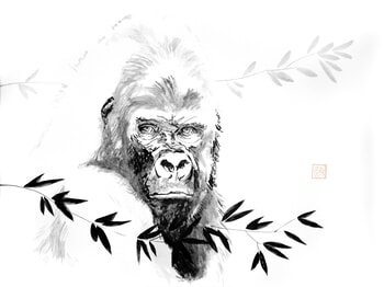Gorilla beringei beringei par Péchane