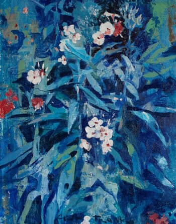 Phlox von Glib Franko