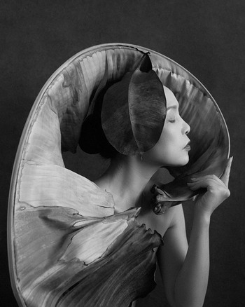 A Leaf’s Whisper to the Soul - V by Xidong Luo