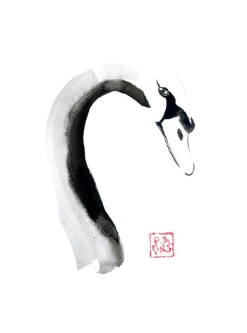 Swan face par Péchane