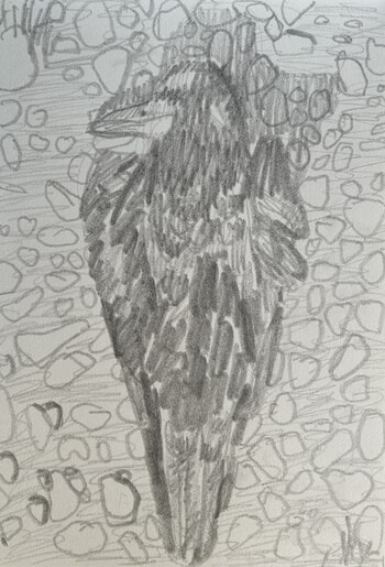 Blue bird 2 by Enzo Marra