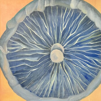 Fungi #001 by Chao Wang