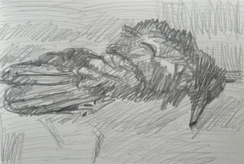 Blue bird 3 by Enzo Marra