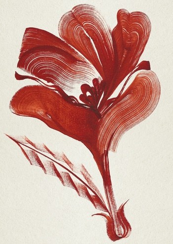 Magnolia par The Frym