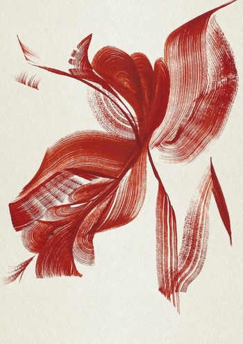 Stargazer par The Frym