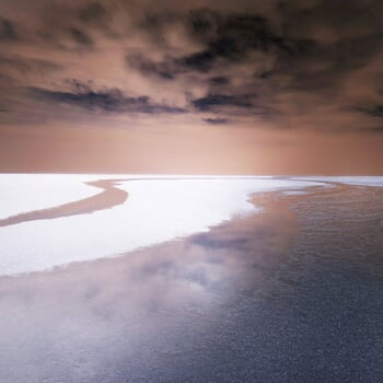 Rivages 24 von Fabienne Bonnet