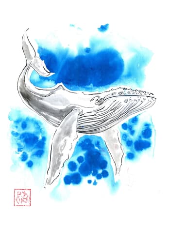Whale turquoise par Péchane