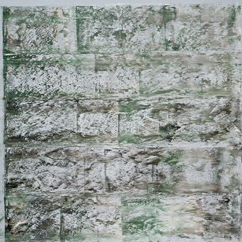 Moss Veil by Nataliia Sydorova