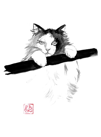 Chat japonais par Péchane