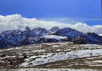 The Magic Door par James Earley