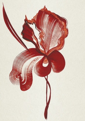 Iris no.1 par The Frym