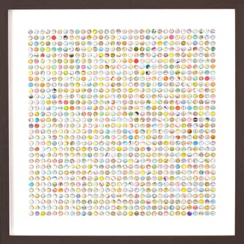 Migration von Amelia Coward