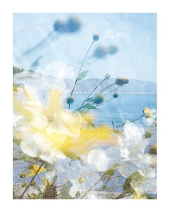 Mirella by Jérôme Pergolesi