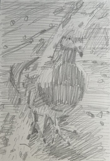 Survivor by Enzo Marra