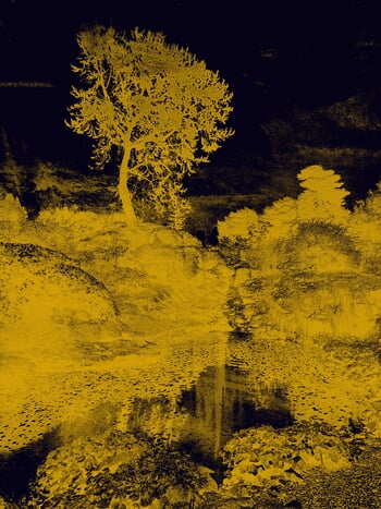 Echoes in Gold III par Viet Ha Tran