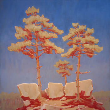 Rochers et pins à Fontainebleau von François Cusson