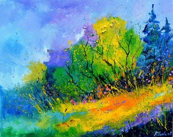 Colourful summer  by Pol Ledent