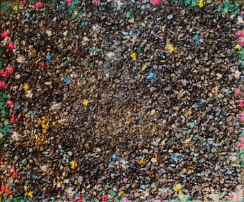 COSMOS  by Richard Vildeman