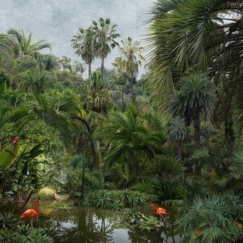 Backwaters River par Nadia Attura