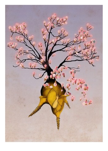 Eureka by Delphine Lebourgeois