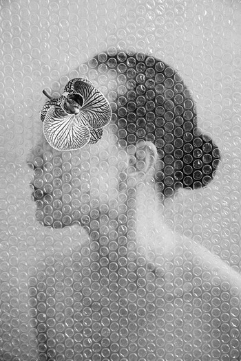 The Weight of Transparency - II by Xidong Luo