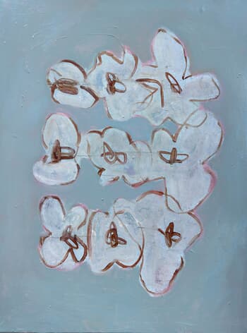 Collection von Penelope van Hoorn