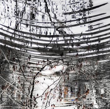 Entrelacs by Isabelle Chambon