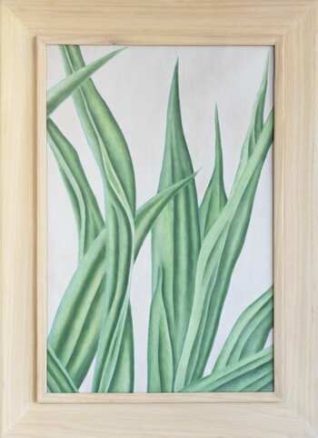 Inside Agave by Marianne Hendriks