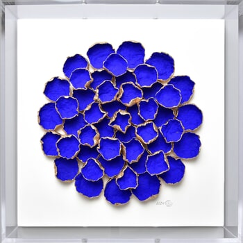 Bloom #13 by Olga Skorokhod