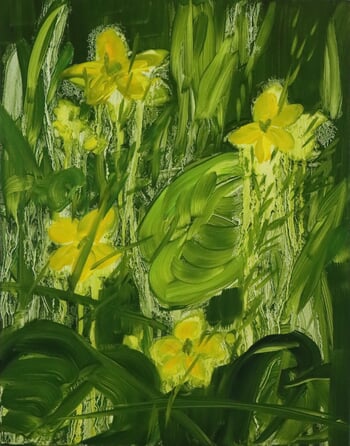 Marsh-marigolds by Barbara Howey