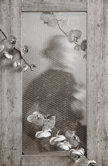 Veiled Bloom​ - V by Xidong Luo