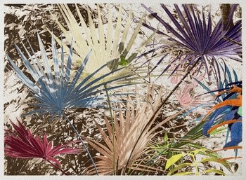 'The Various Coloured Jungle', JD Hooker EV 2 of 5 by Marianne Nix