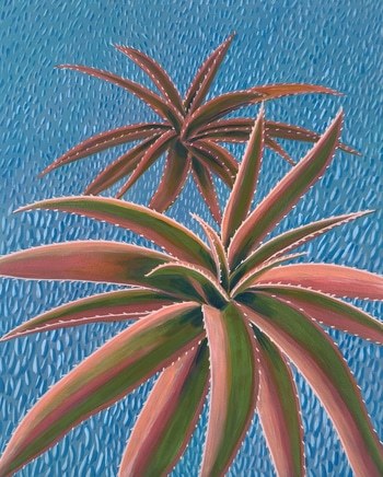 Candelabra Aloe on Blue  by Michael Pfleghaar
