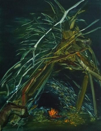 Fire-gazing von Barbara Howey