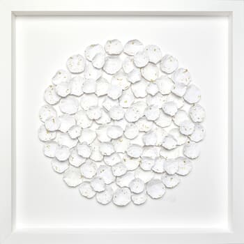 Bloom #6 by Olga Skorokhod