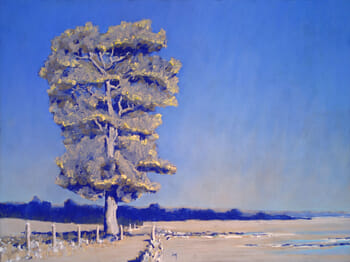 Le chemin sur la baie von François Cusson