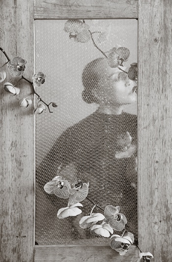 Veiled Bloom​ - IV by Xidong Luo