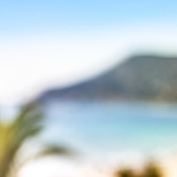 Palm trees beach - Soft Costa Blanca  03 par Bruno Houdayer