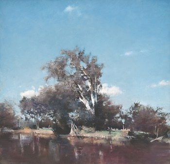 Tree by Creek, Gippsland by Nick Offer