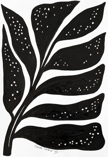 Floreale n°01 by Camille Tardif