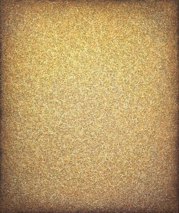 A Peaceful Mind in Gold by Heidi Thompson