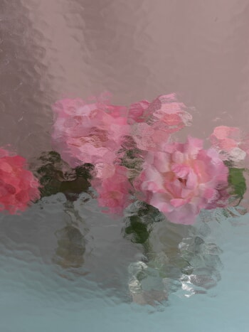 ROSES IN VASES von Andrea Zvadova