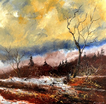 Moonshine in winter by Pol Ledent