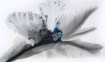 Nature 261 von Muriel Napoli