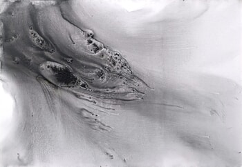 Nature 533 von Muriel Napoli